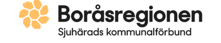 Boråsregionen logotyp i färg